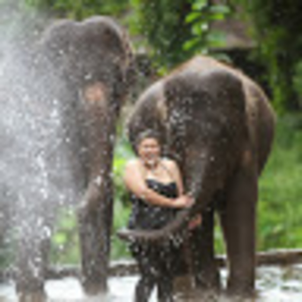 Meet your Posher, Johanny